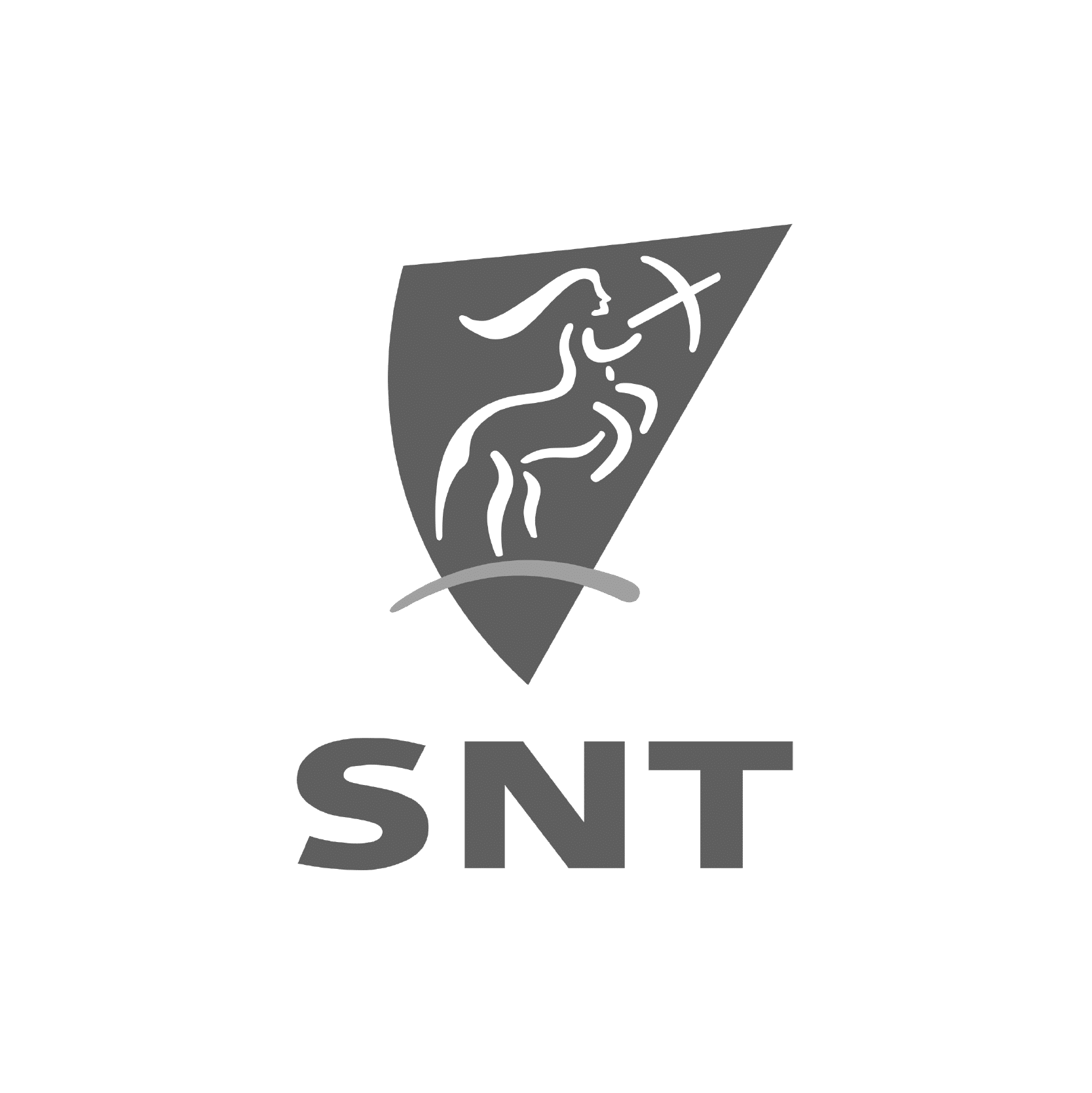 SNT_square-01